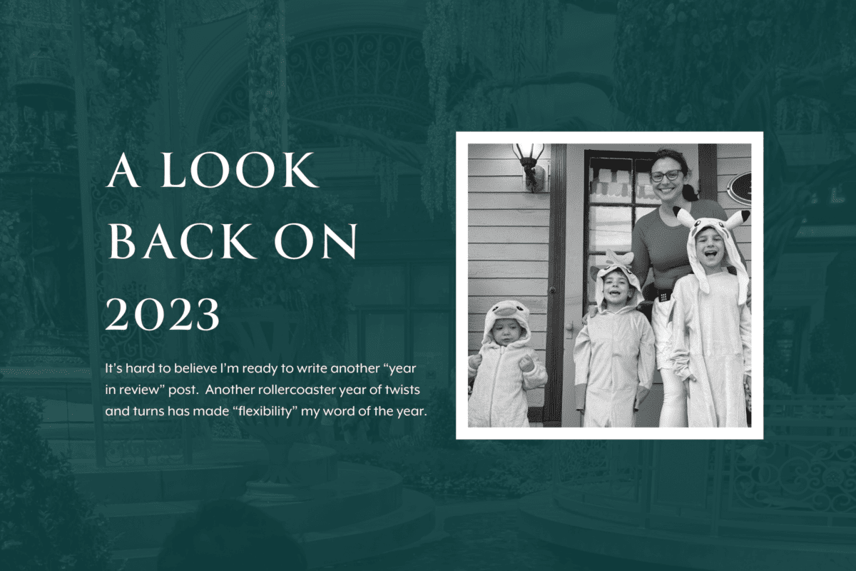 Look back on 2023 blog cover